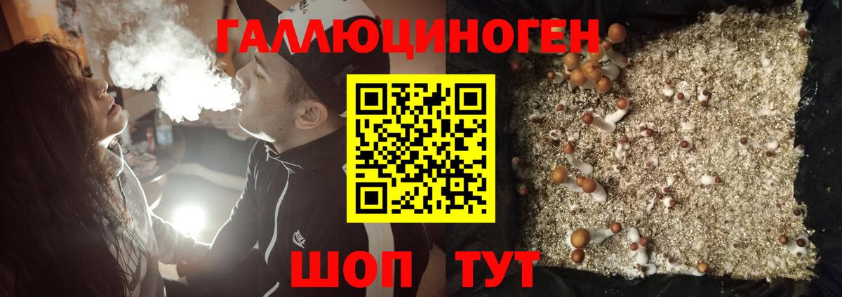 Псилоцибиновые грибы Psilocybe Копейск