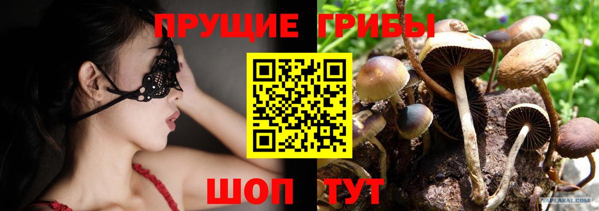 Копейск  Галлюциногенные грибы MAGIC MUSHROOMS  Вход с VPN 